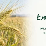 توزیع بذر جو اصلاح‌شده بهرخ (دوپَر) در فلاورجان | کشت پاییزه ۱۴۰۵-۱۴۰۶